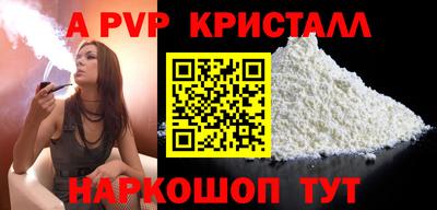 стафф Кингисепп