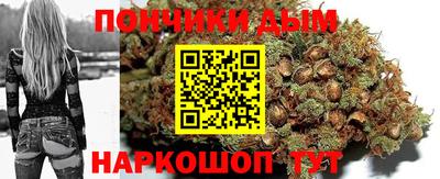 стафф Кингисепп