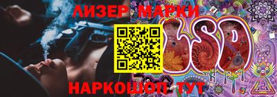 стафф Кингисепп