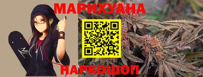 стафф Кингисепп