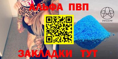 стафф Кингисепп