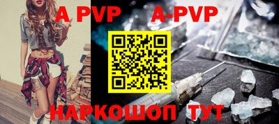 стафф Кингисепп