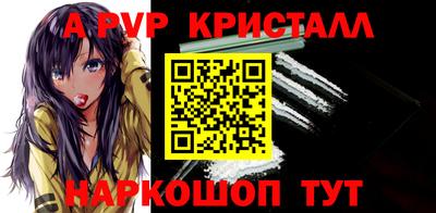 стафф Кингисепп