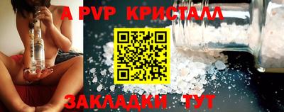 стафф Кингисепп
