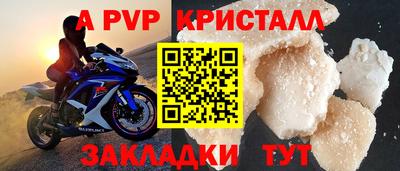 стафф Кингисепп