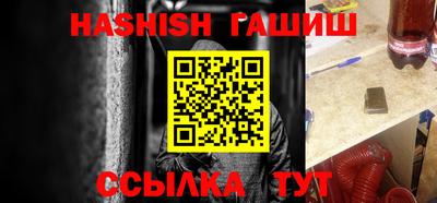 стафф Кингисепп
