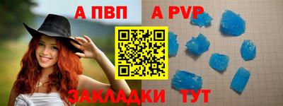 стафф Кингисепп