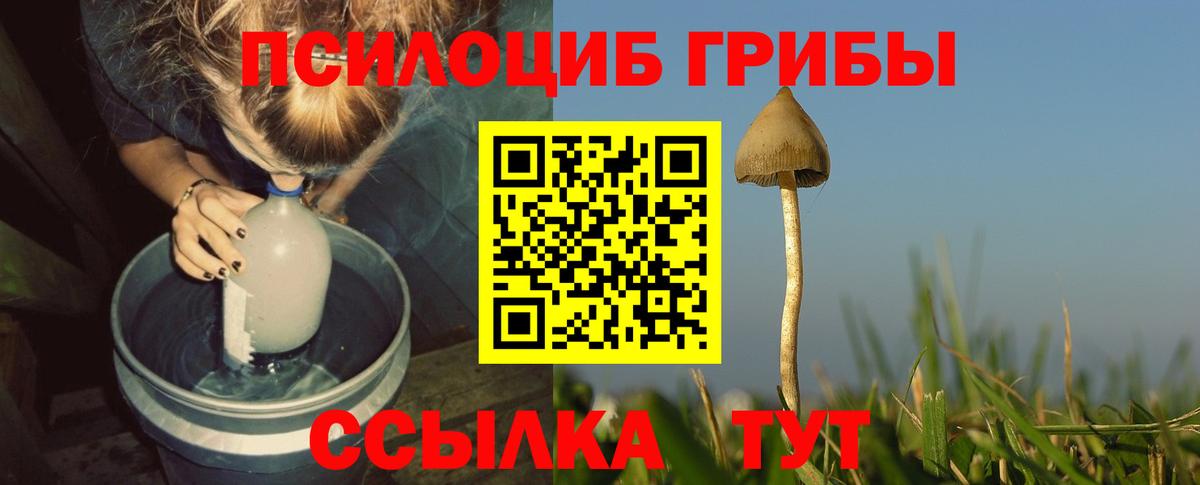 Галлюциногенные грибы прущие грибы Гуково